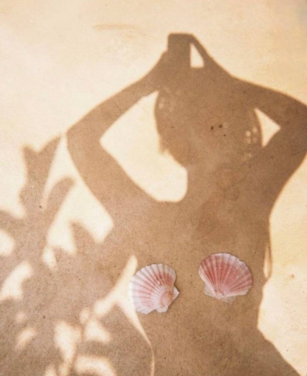 Swimwear